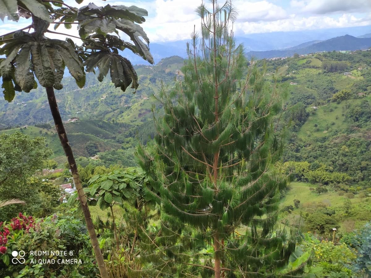 Mirador Finca Morrogacho Manizales Exterior foto