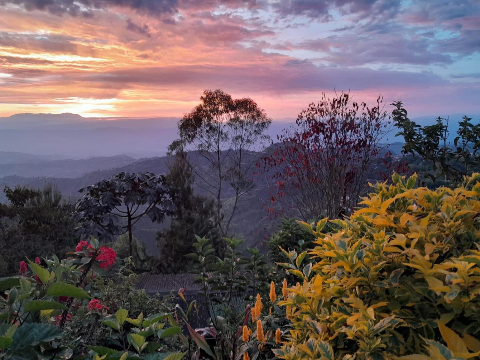 Mirador Finca Morrogacho Manizales Exterior foto