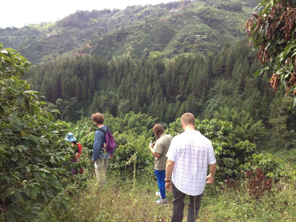 Mirador Finca Morrogacho Manizales Exterior foto